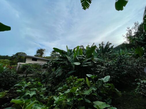 000058E7.L0-6
