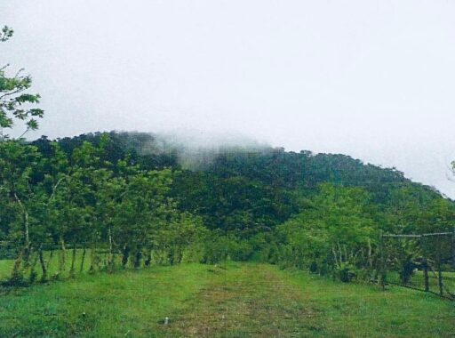 00005905.L0-10