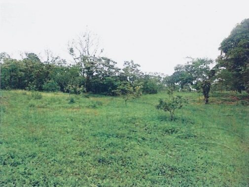 00005905.L0-8