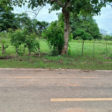 00005924.L0-10
