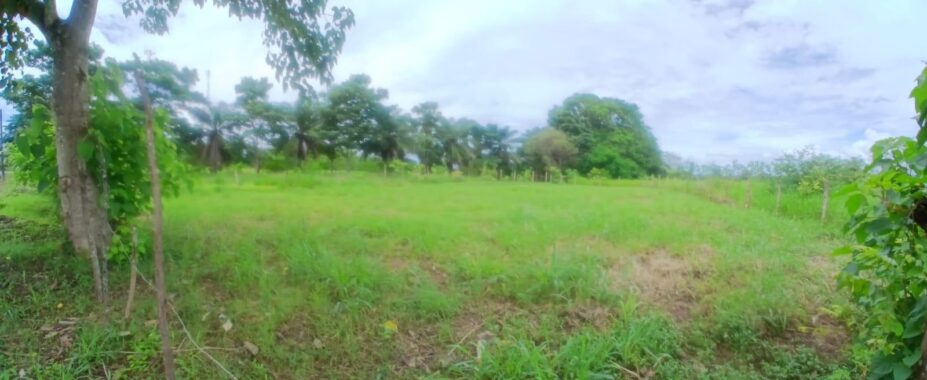 00005924.L0-2