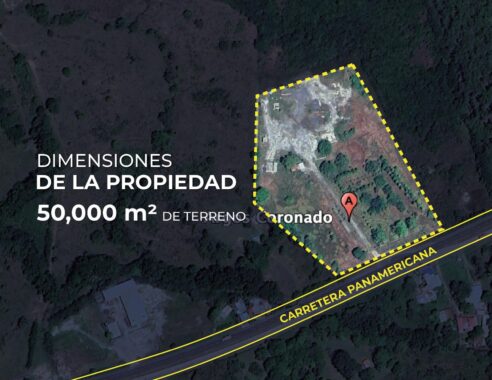 0000593D.L0-4