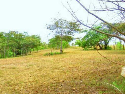 00002EDE.L0-10