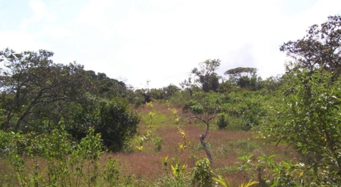 00005983.L0-6