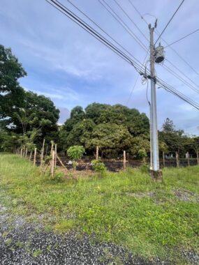 00005A23.L0-4
