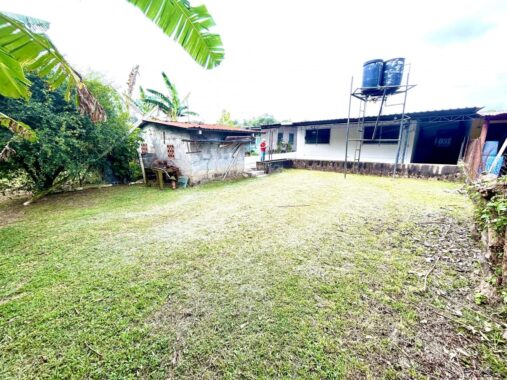 00005585.L0-10