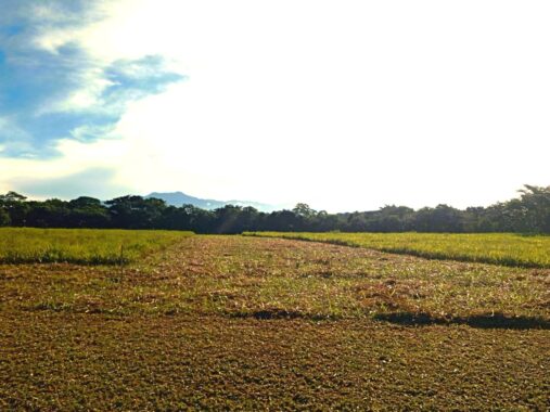 00005A97.L0-6
