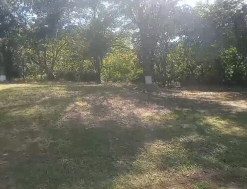 00005771.L0-10