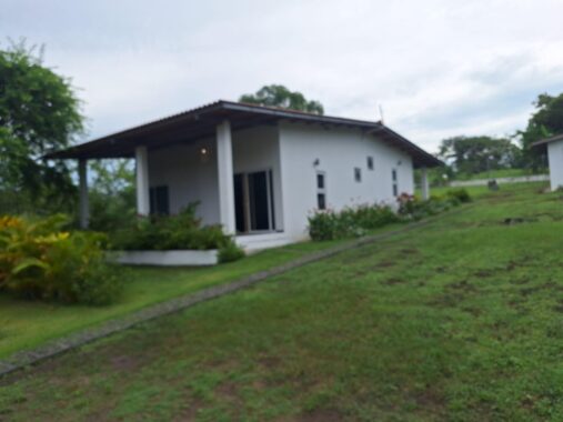 00005872.L0-12