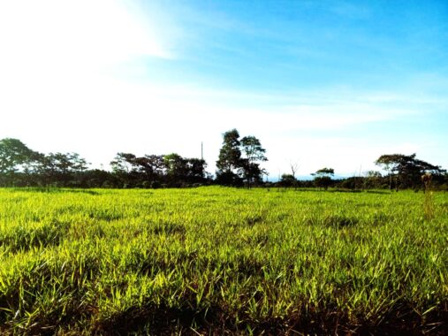 00005A95.L0-2