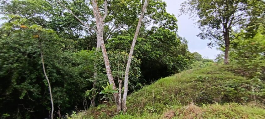 00005934.L0-18