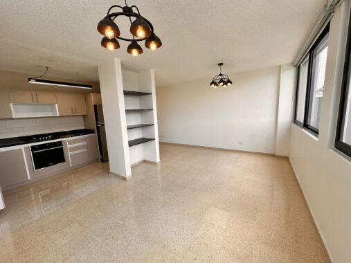 PHOTO-2024-08-07-19-18-07 (3)